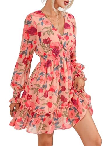 Long Sleeve Chiffon Minidress